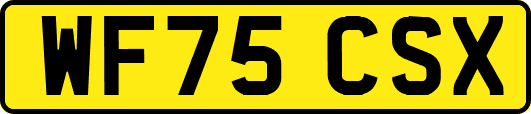 WF75CSX