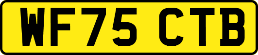 WF75CTB
