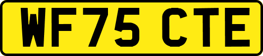 WF75CTE