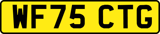 WF75CTG