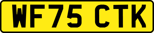 WF75CTK