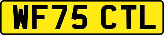 WF75CTL
