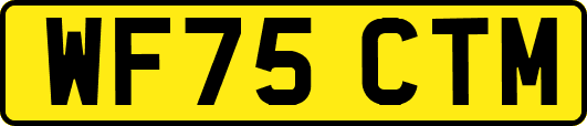 WF75CTM