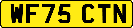 WF75CTN