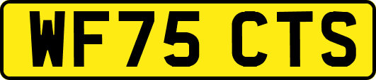 WF75CTS