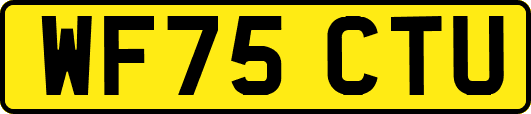WF75CTU
