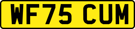 WF75CUM