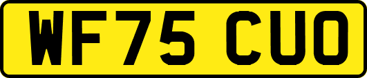WF75CUO
