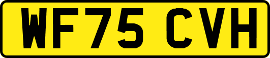 WF75CVH