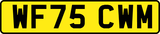 WF75CWM