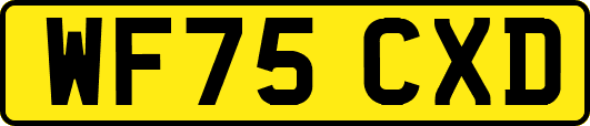 WF75CXD
