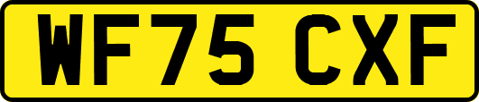 WF75CXF