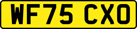WF75CXO