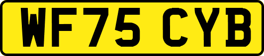 WF75CYB