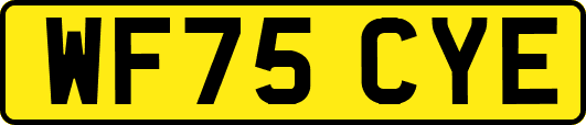 WF75CYE
