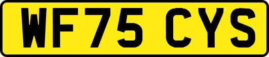 WF75CYS