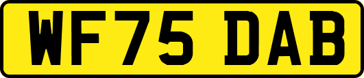 WF75DAB