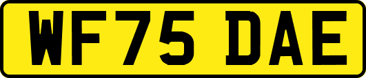 WF75DAE