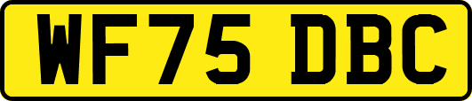 WF75DBC