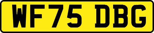 WF75DBG