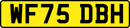WF75DBH