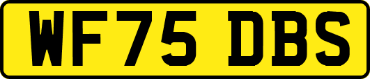 WF75DBS