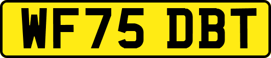 WF75DBT