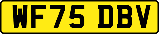WF75DBV