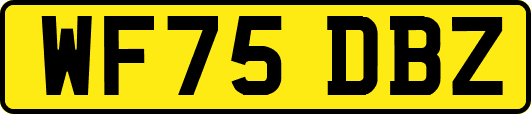 WF75DBZ