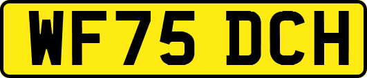 WF75DCH