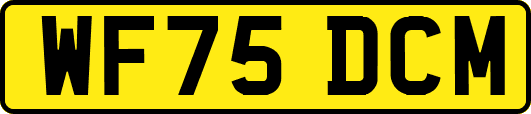 WF75DCM