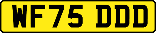 WF75DDD