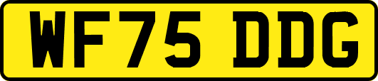 WF75DDG