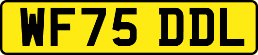 WF75DDL