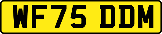 WF75DDM