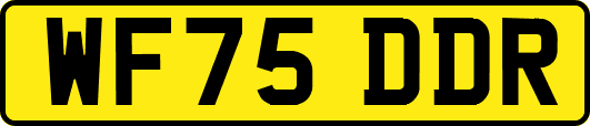WF75DDR