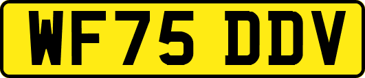 WF75DDV