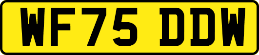 WF75DDW