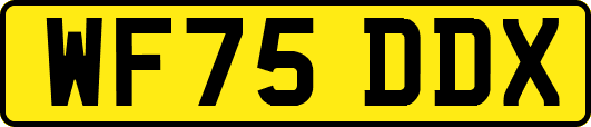 WF75DDX