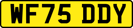 WF75DDY