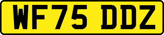 WF75DDZ