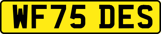 WF75DES