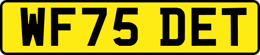 WF75DET