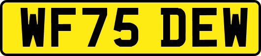 WF75DEW