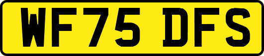 WF75DFS