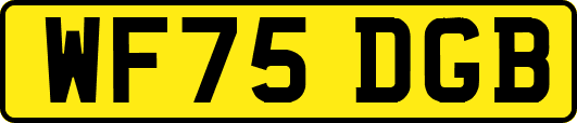 WF75DGB