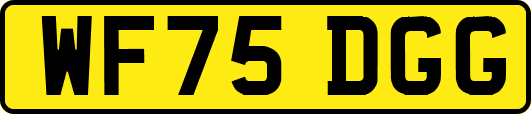 WF75DGG