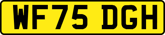 WF75DGH
