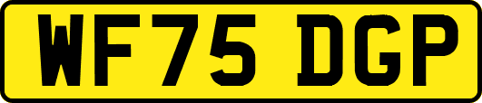 WF75DGP