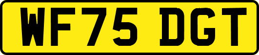 WF75DGT